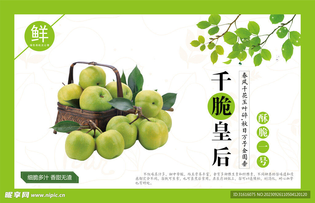 皇冠梨
