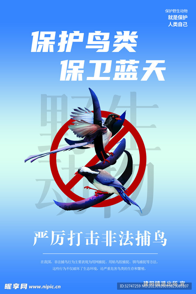 保护鸟类