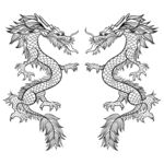 黑白双龙