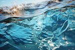 海水