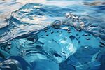 海水