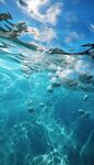 海水