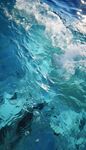 海水