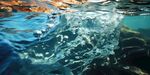 海水