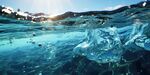 海水