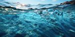 海水