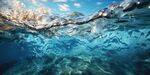 海水