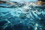 海水