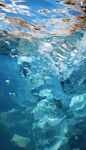 海水