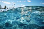 海水