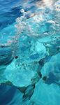 海水