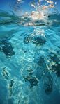 海水