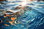 海水