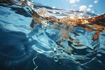 海水