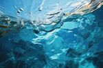 海水