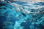 海水