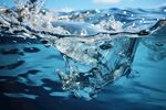 海水