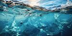 海水