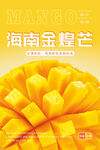 芒果海报 