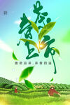 春茶上市