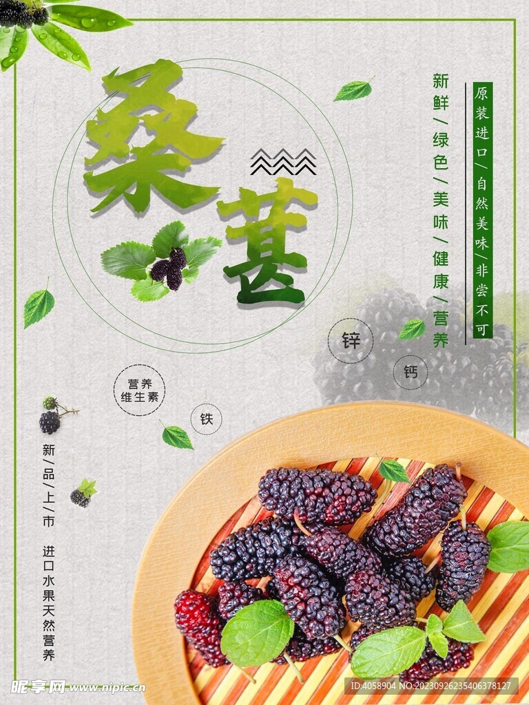 桑葚