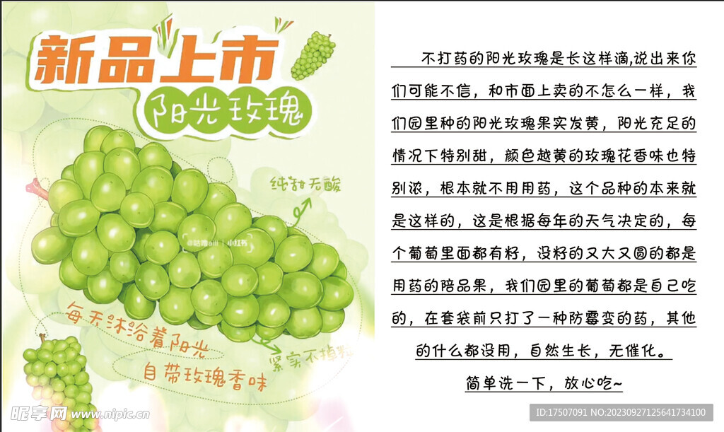 阳光玫瑰 有机 无农药 纯天然