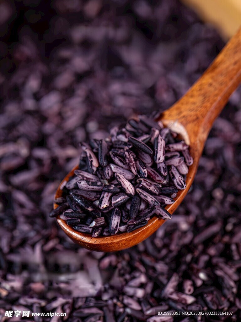 紫米