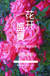 夏日促销