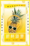 新鲜菠萝