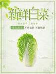 新鲜白菜
