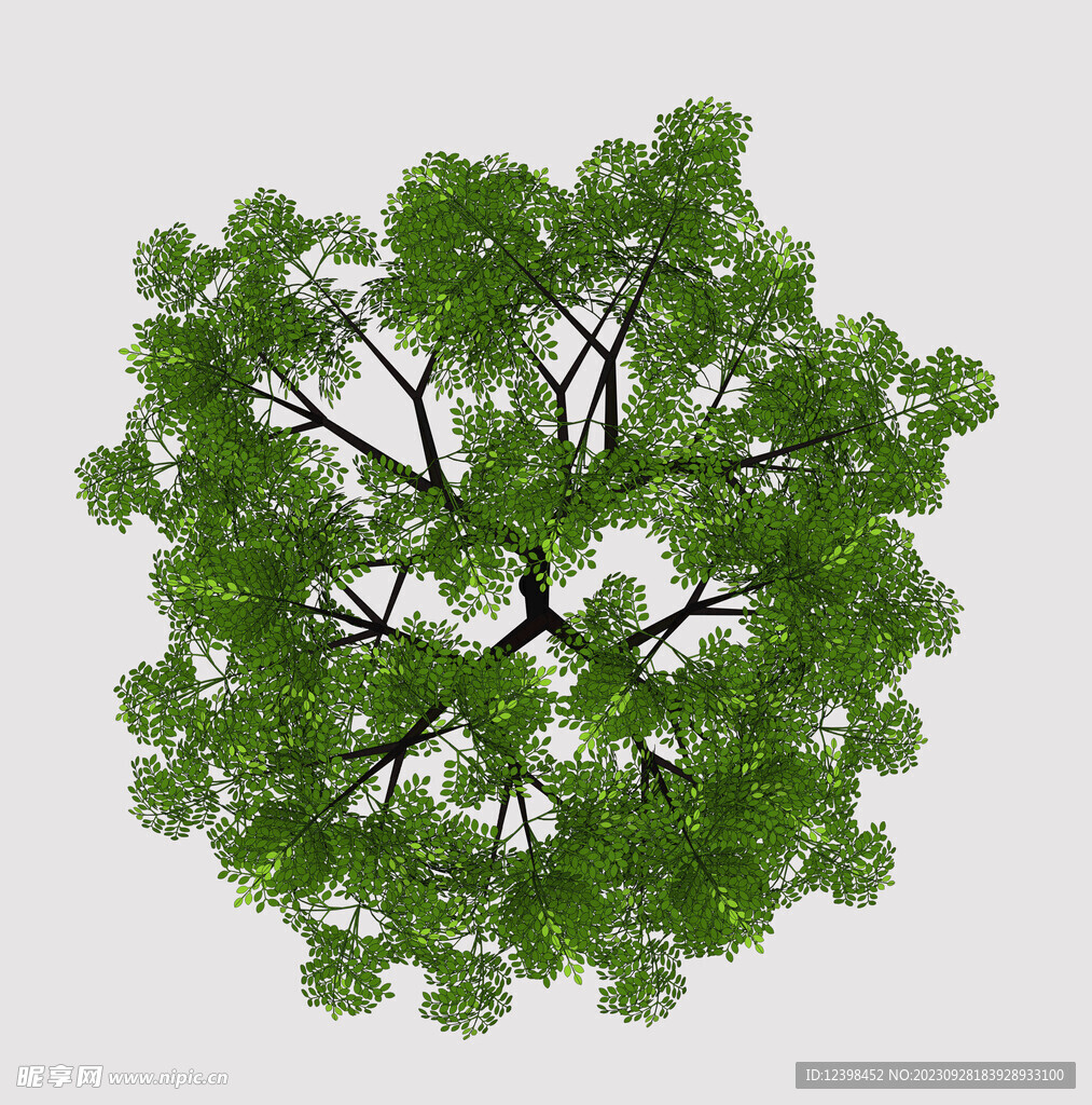 景观树乔木PSD分层素材俯视图