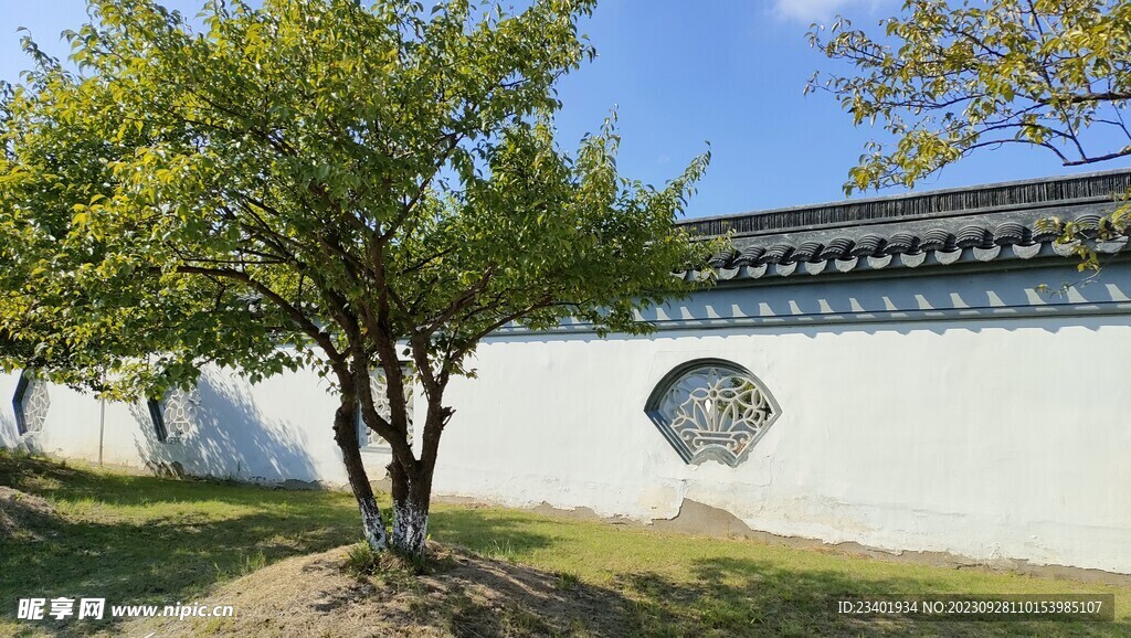 伊芦山梅园白墙灰瓦建筑梅树