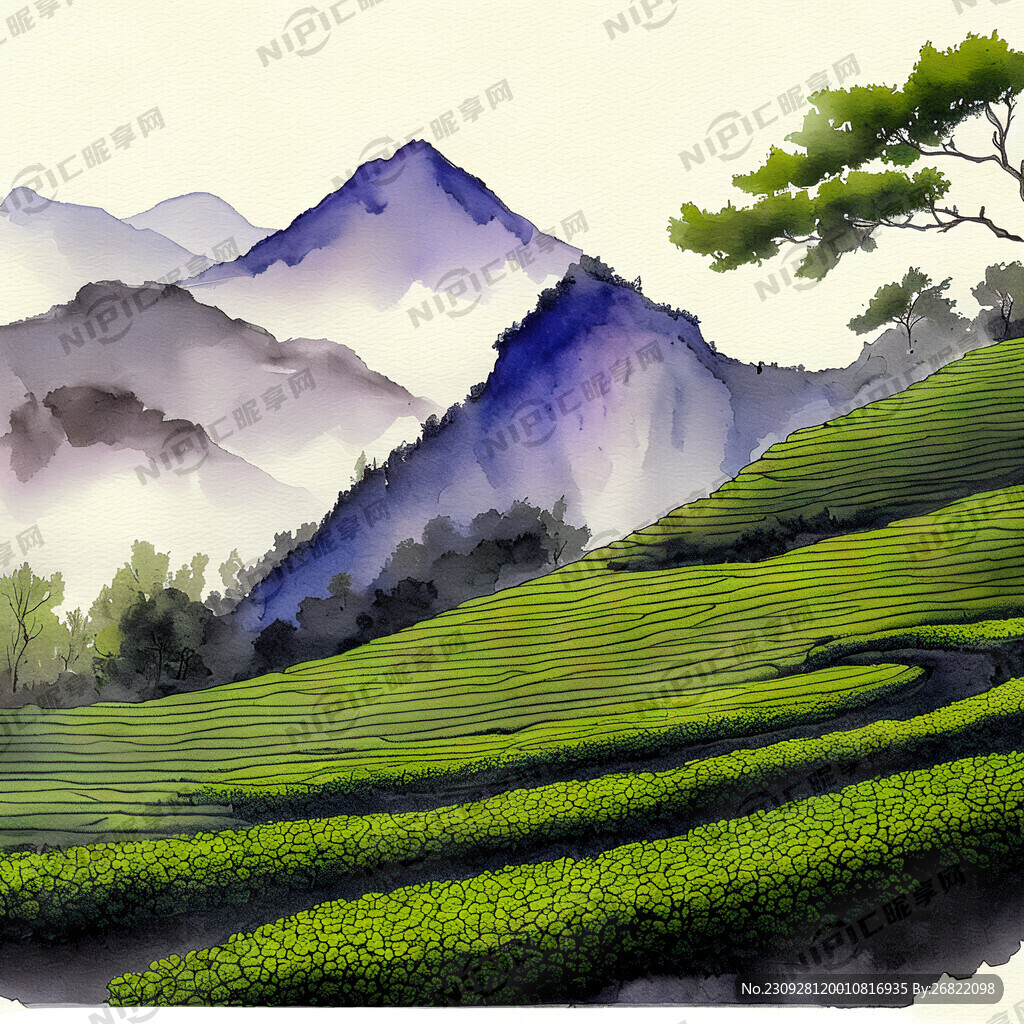 茶山 茶叶 茶文化 唯美背景