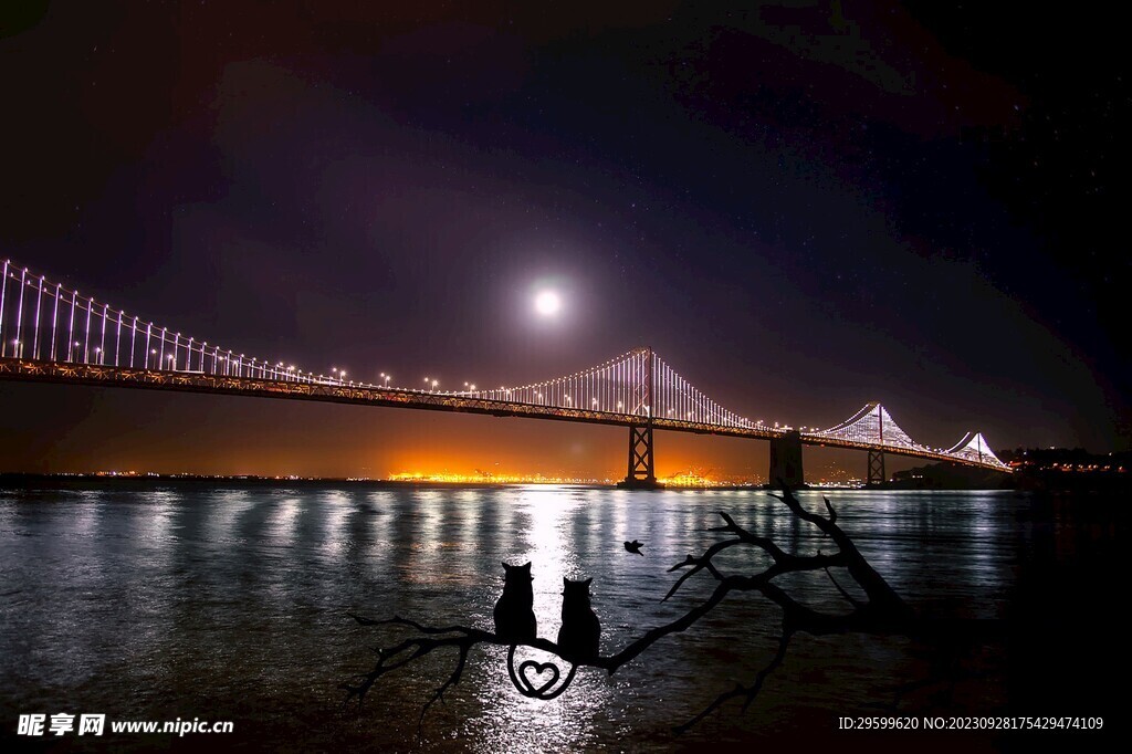 桥梁夜景