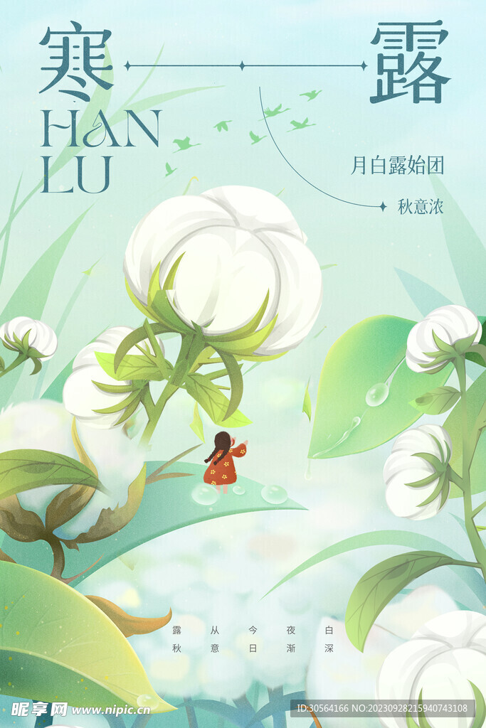 寒露