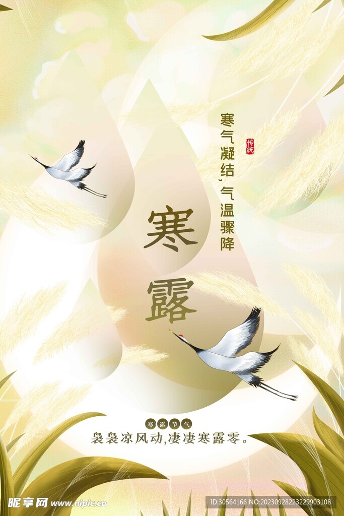 寒露