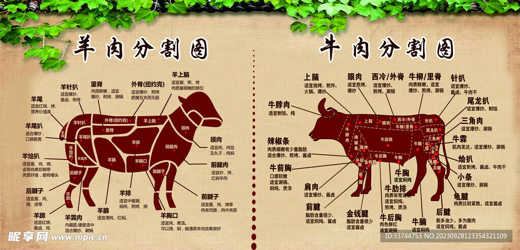 牛羊肉分割图