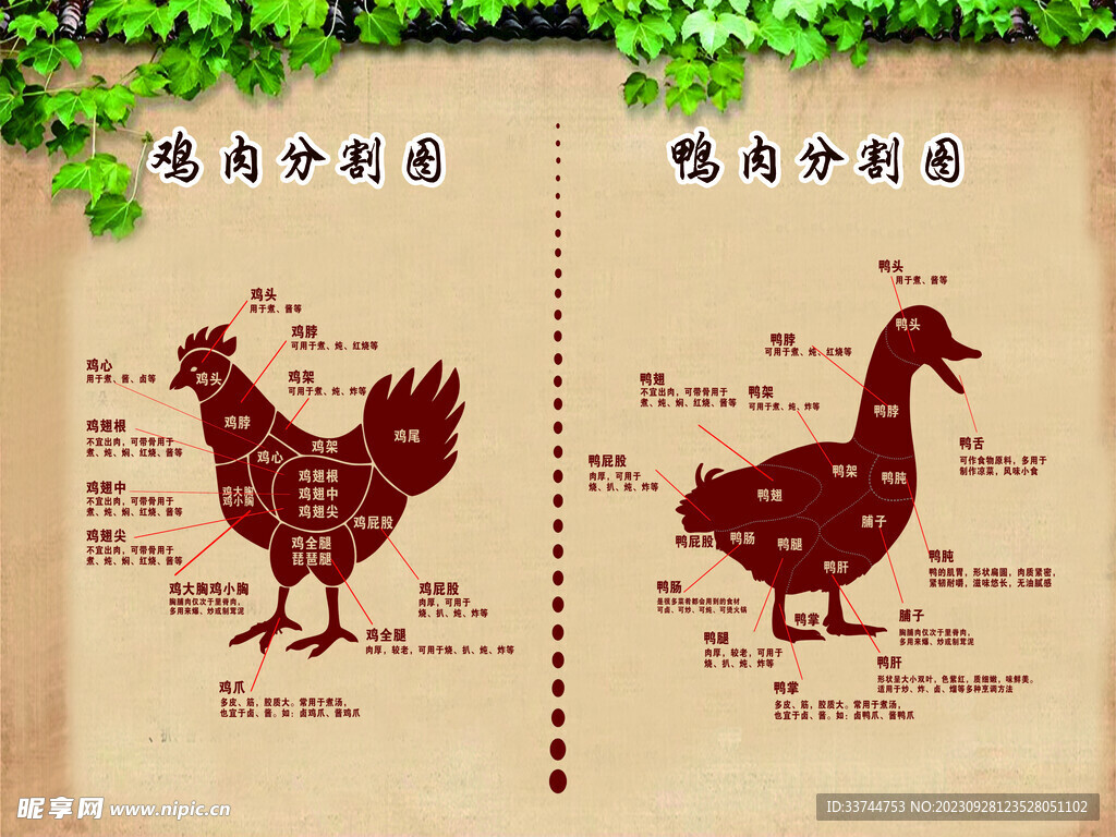 鸡鸭肉分割图