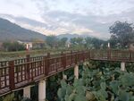崎山小游园