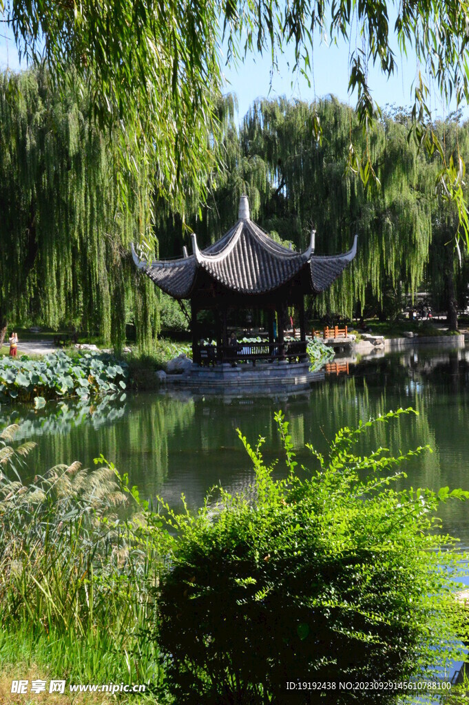 公园风景 