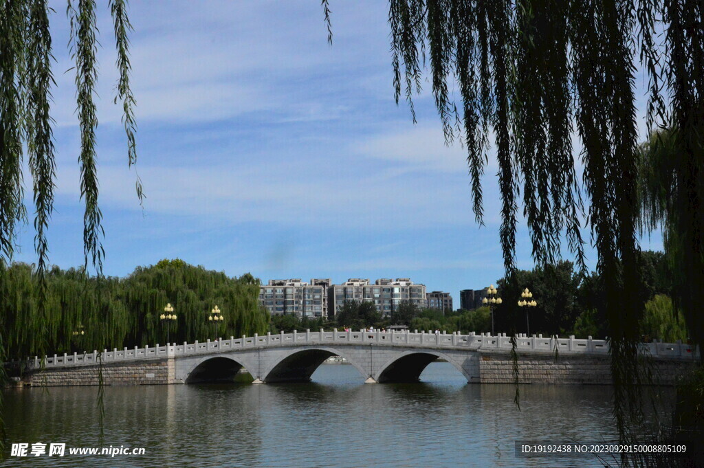公园风景 