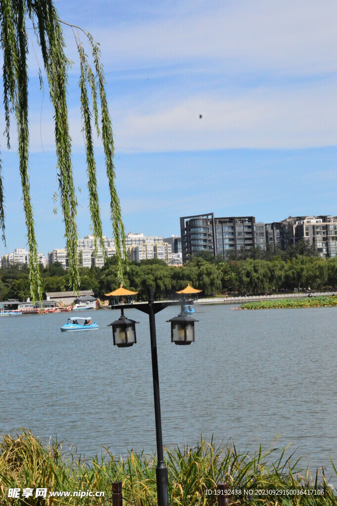 公园风景