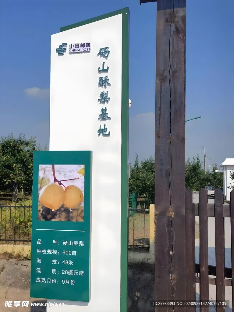 梨子栽培基地