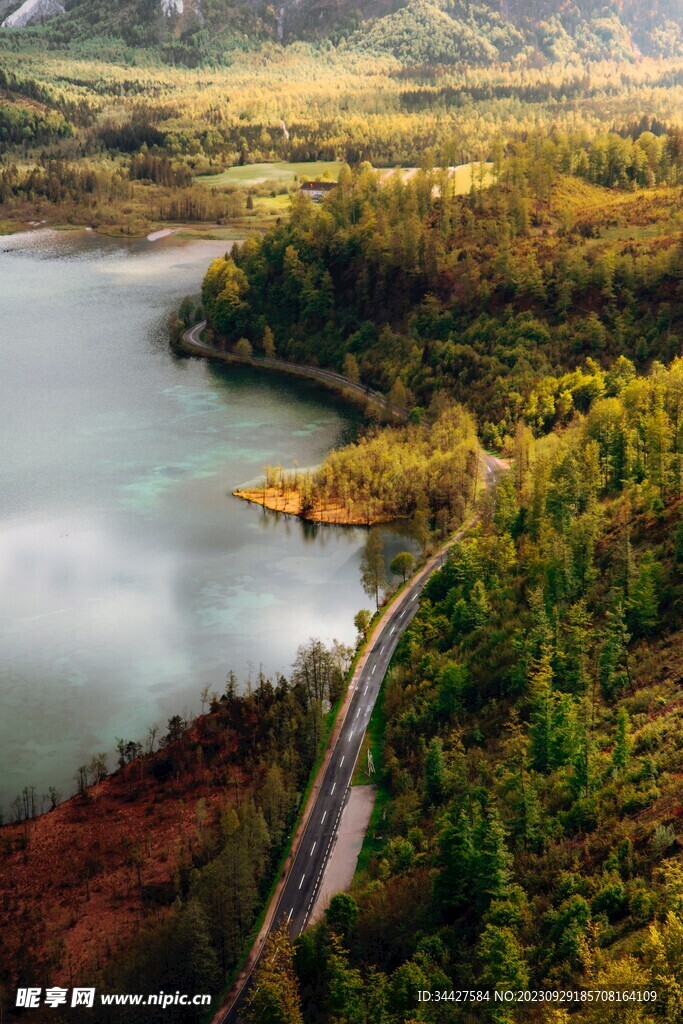 湖边的树林和道路