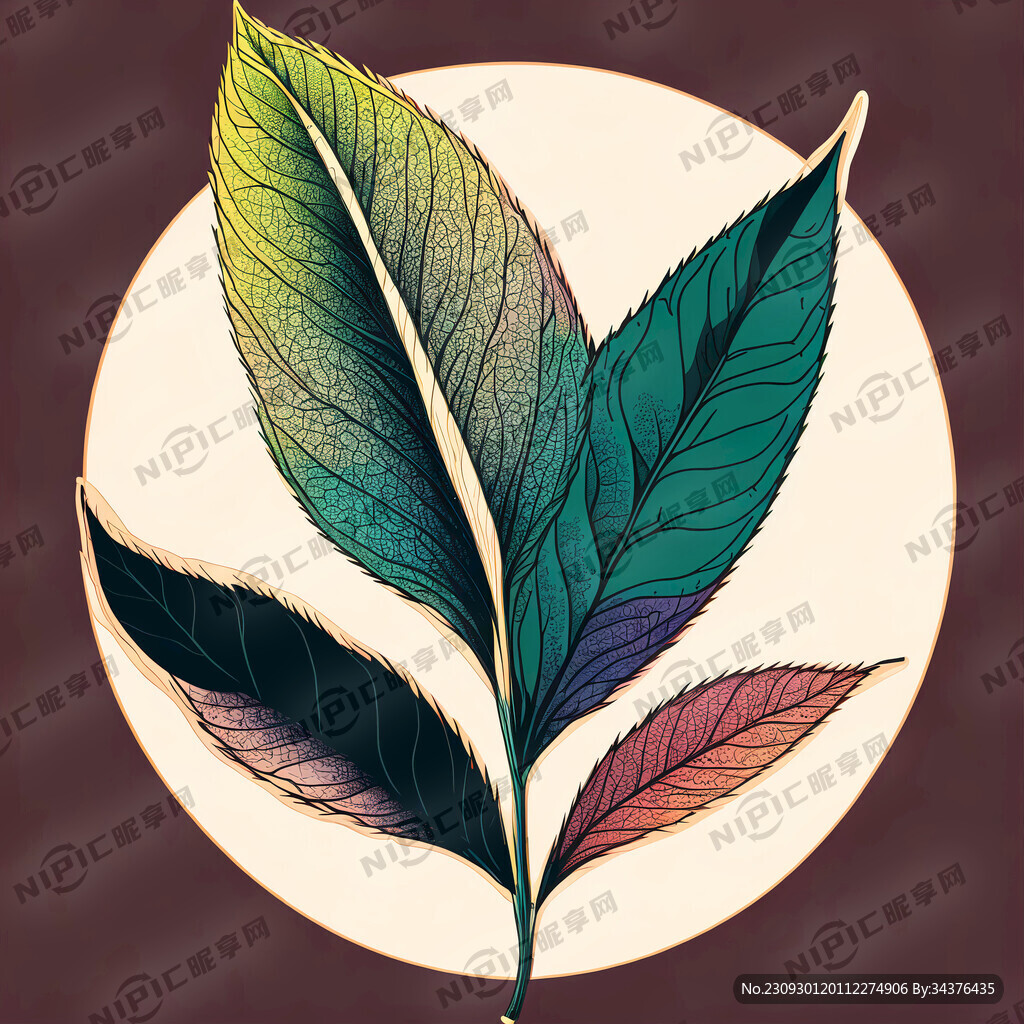 茶叶插画 线条清晰 色彩丰富