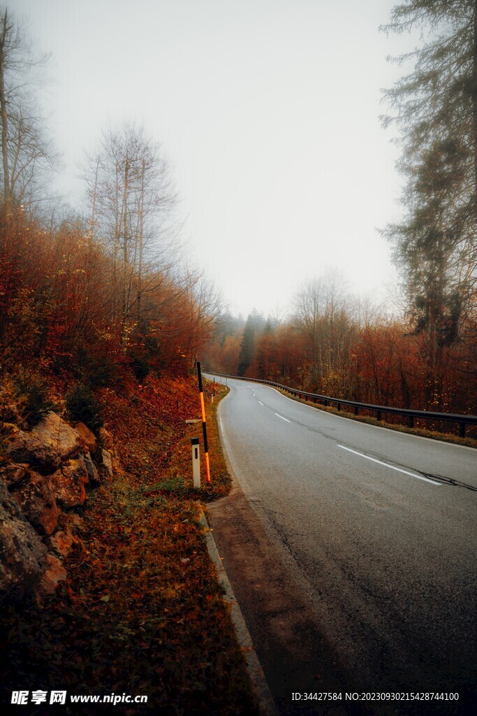 山林道路