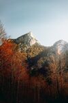 树林和山峰