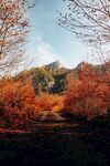 山路风景