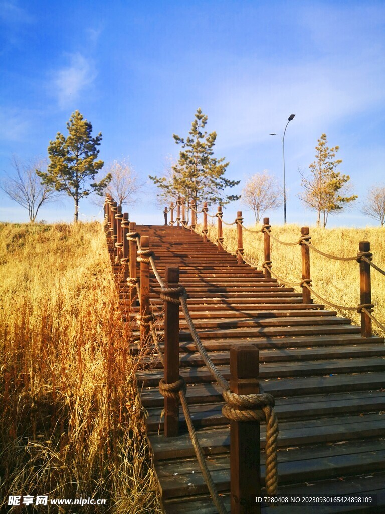 秋天风景