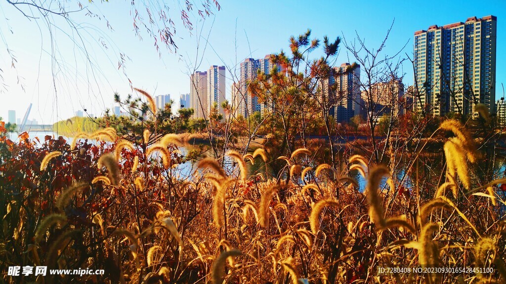 秋天风景